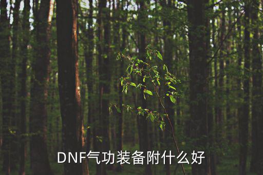 DNF气功装备附什么好