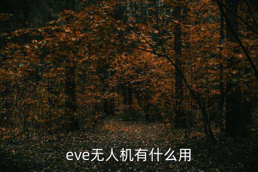 eve无人机有什么用