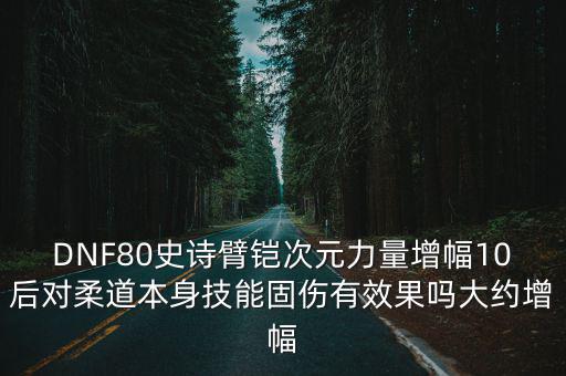 dnf柔道增幅什么属性，DNF80史诗臂铠次元力量增幅10后对柔道本身技能固伤有效果吗大约增幅