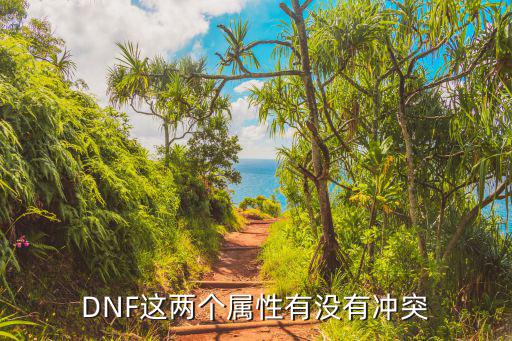 DNF这两个属性有没有冲突