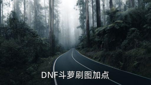 DNF斗萝刷图加点