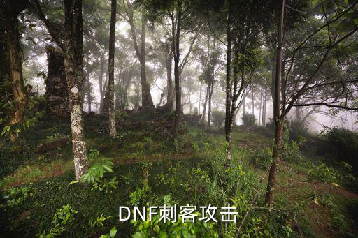 dnf 刺客什么属性攻击，dnf刺客有什么属性好