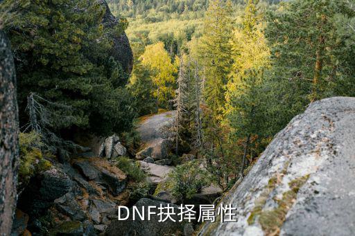 DNF抉择属性