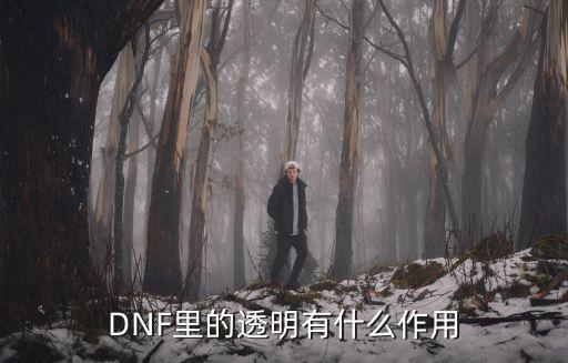 DNF里的透明有什么作用