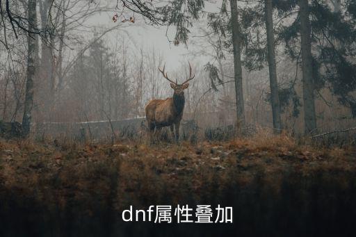 dnf属性叠加