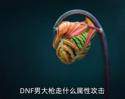 DNF男大枪走什么属性攻击