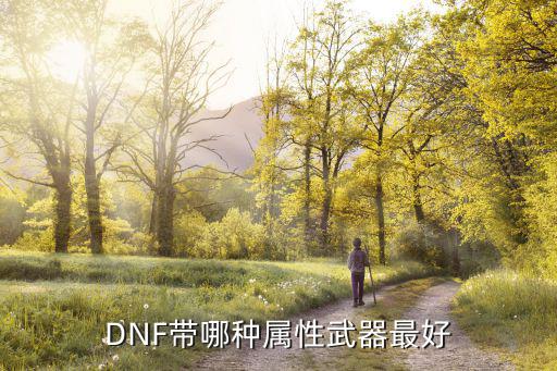 DNF带哪种属性武器最好