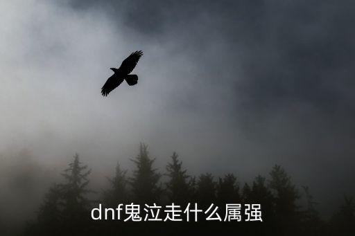 dnf鬼泣走什么属强