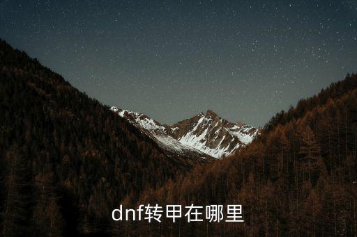 dnf砖家什么属性，dnf转甲有什么用