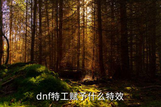 dnf特工赋予什么特效