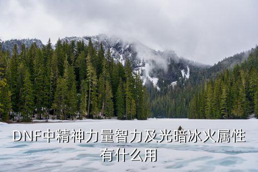 dnf力量是什么属性，DNF中精神力量智力及光暗冰火属性有什么用