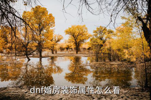 dnf婚房装饰属性怎么看