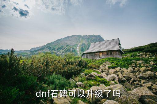 dnf石碑可以升级了吗