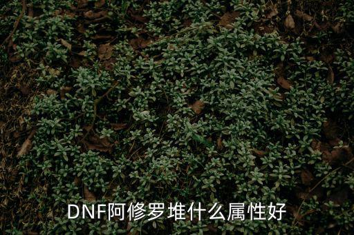 dnf 阿修罗什么属性，地下城与勇士阿修罗装备什么属性