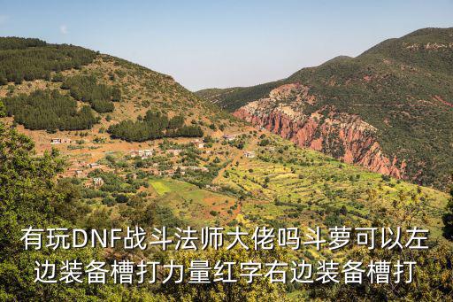 dnf斗萝什么属性，dnf斗萝是固伤还是百