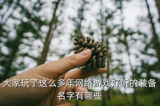 大家玩了这么多年网络游戏好听的装备名字有哪些