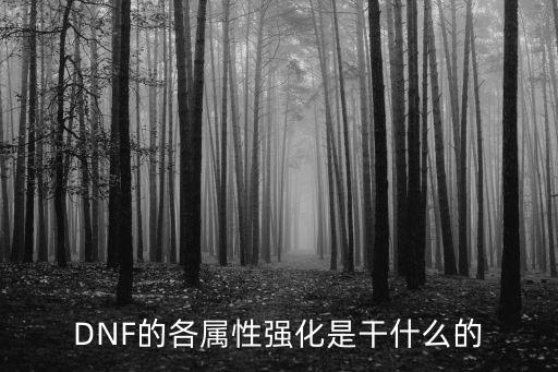 DNF的各属性强化是干什么的