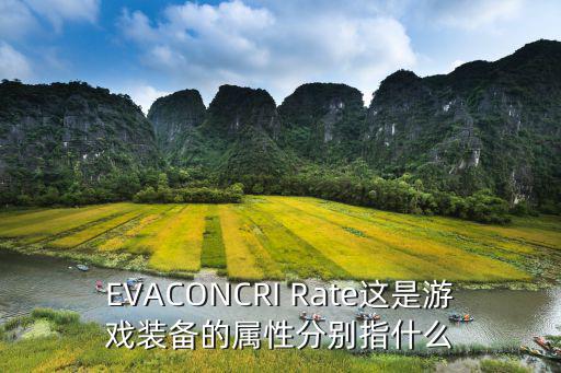 EVACONCRI Rate这是游戏装备的属性分别指什么