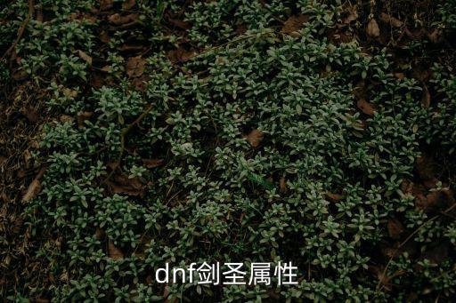 dnf剑圣属性是什么，剑圣的属性都是什么