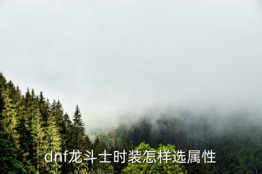 dnf龙斗士时装怎样选属性