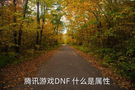 腾讯游戏DNF 什么是属性