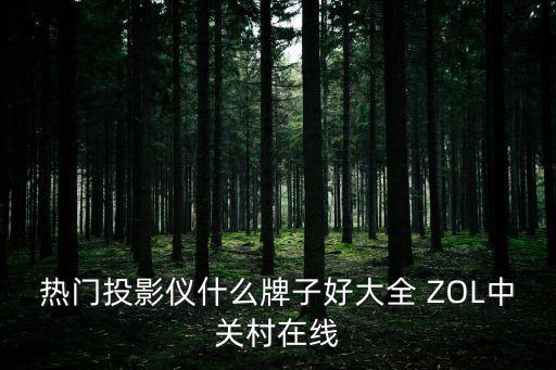 热门投影仪什么牌子好大全 ZOL中关村在线