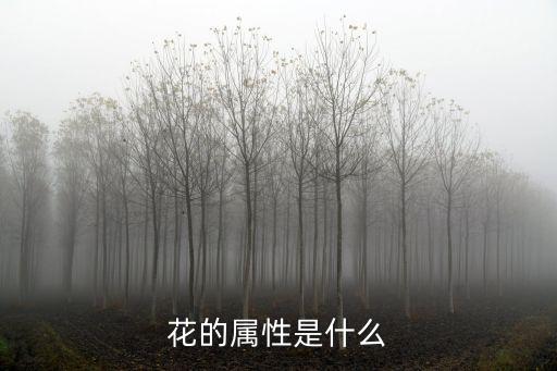 花的属性是什么