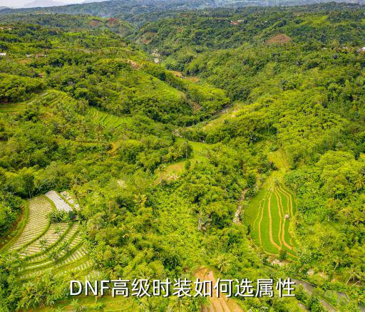 dnf 裙子选什么属性，DNF高级时装如何选属性