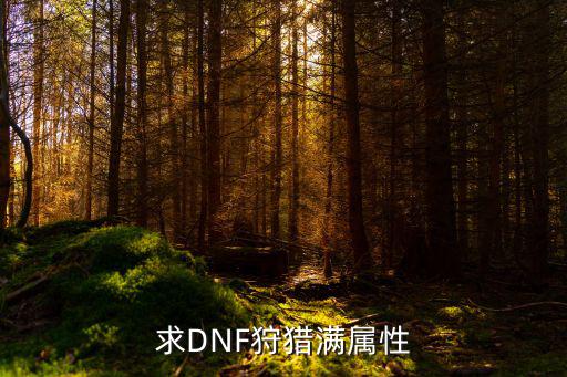 dnf狩猎加什么属性，DNF12狩猎附魔什么属性攻击好ang