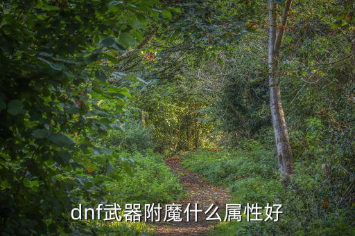 dnf武器附魔什么属性好