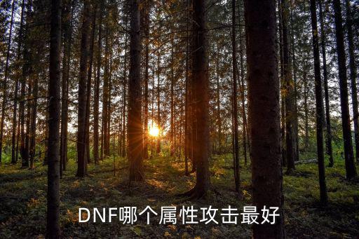 DNF哪个属性攻击最好