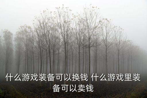 什么游戏装备可以换钱 什么游戏里装备可以卖钱