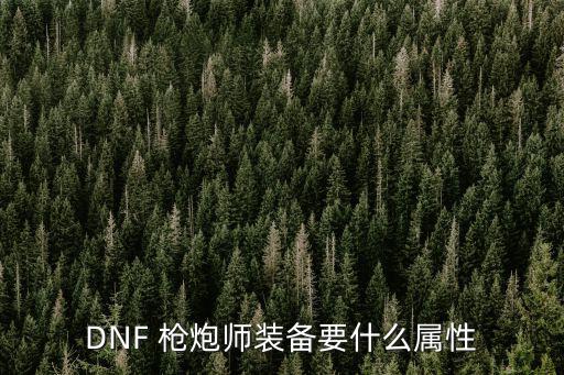 DNF 枪炮师装备要什么属性