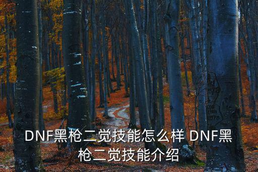 DNF黑枪二觉技能怎么样 DNF黑枪二觉技能介绍