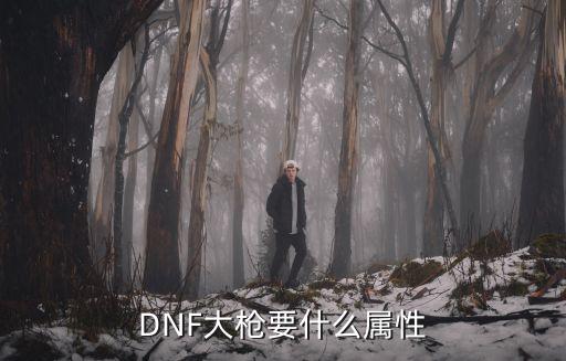 DNF大枪要什么属性