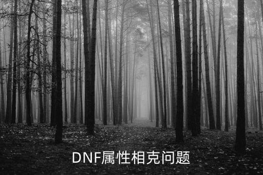 DNF属性相克问题