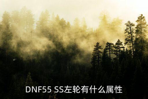 DNF55 SS左轮有什么属性