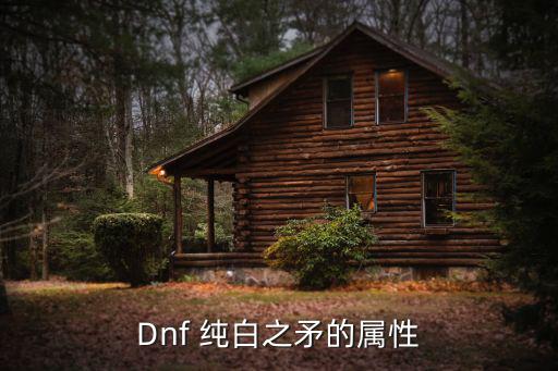 Dnf 纯白之矛的属性