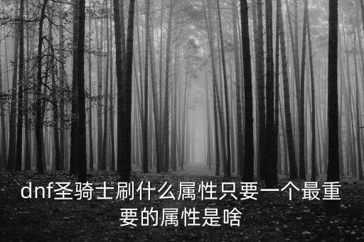 dnf圣骑士刷什么属性只要一个最重要的属性是啥