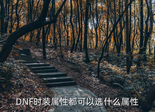 DNF时装属性都可以选什么属性