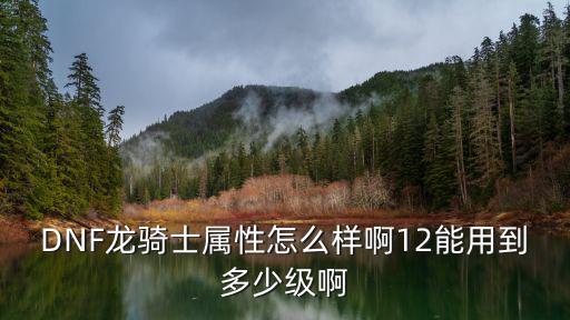 DNF龙骑士属性怎么样啊12能用到多少级啊