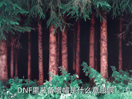 DNF里装备增幅是什么意思啊