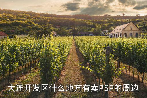 大连开发区什么地方有卖PSP的周边