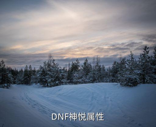 DNF神悦属性