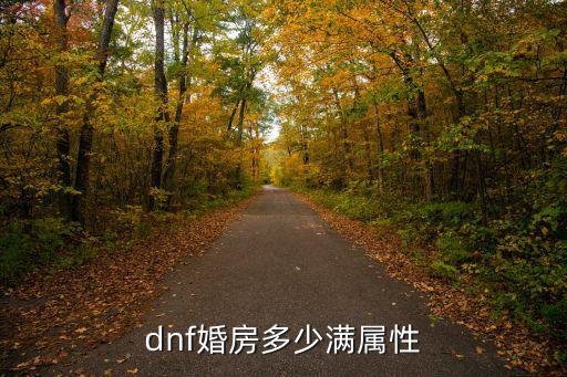 dnf婚房多少满属性