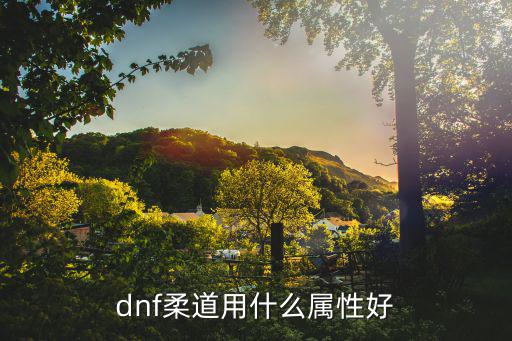 dnf柔道用什么属性好