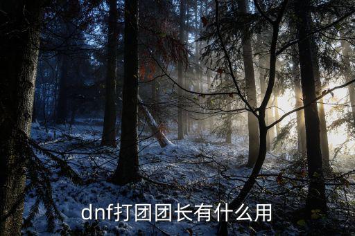 dnf打团团长有什么用