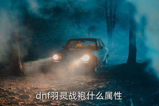 dnf羽灵战袍什么属性