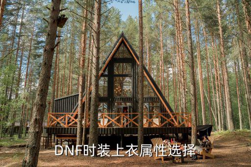 dnf上元上衣什么属性，dnf各部位时装可选属性