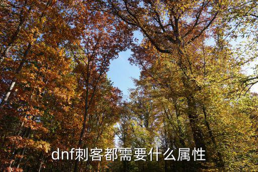 dnf刺客都需要什么属性